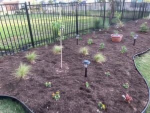 Read more about the article Starting a New Garden Part 2