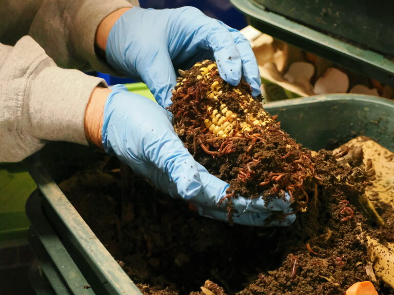 Vermicomposting